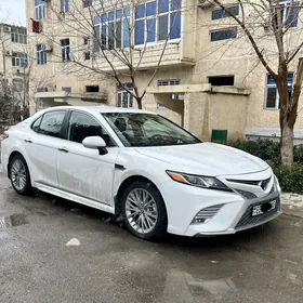 Toyota Camry 2019