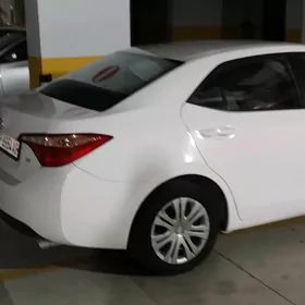 Toyota Corolla 2019