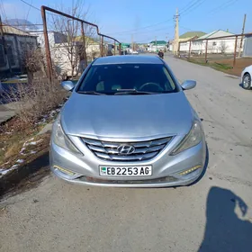 Hyundai Sonata 2010