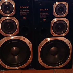 Колонки SONY SS-V715AV