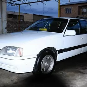 Opel Omega 1994