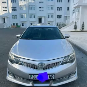 Toyota Camry 2010