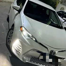 Toyota Corolla 2019