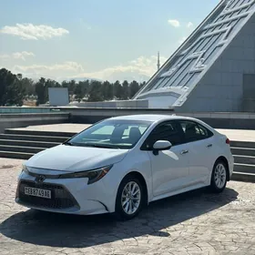 Toyota Corolla 2020