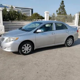 Toyota Corolla 2010