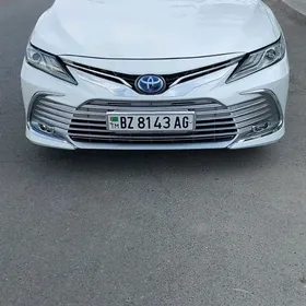 Toyota Camry 2019