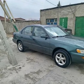 Toyota Corolla 1995