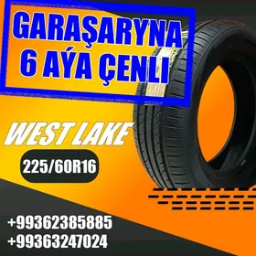 GARAŞARYNA TEKER 225/60R16