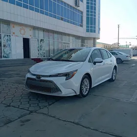 Toyota Corolla 2021