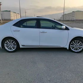 Toyota Corolla 2016