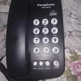 Domaşniy telefon