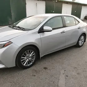 Toyota Corolla 2016