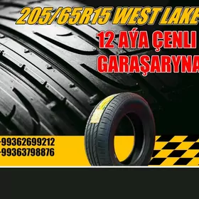 GARAŞARYNA❗TEKER 205/65R15