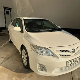 Toyota Corolla 2010