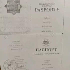 pasport yitdi