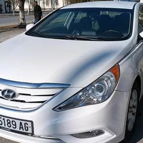 Hyundai Sonata 2010