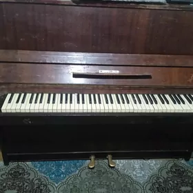 pionino