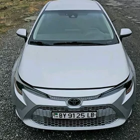 Toyota Corolla 2020