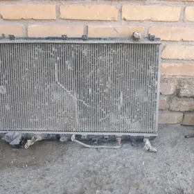 radiator siena