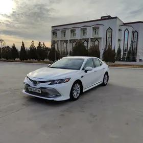 Toyota Camry 2020