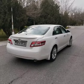 Toyota Camry 2010