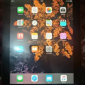 iPad