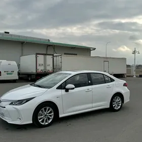 Toyota Corolla 2024