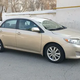 Toyota Corolla 2010