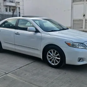 Toyota Camry 2010