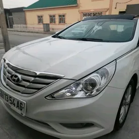 Hyundai Sonata 2010