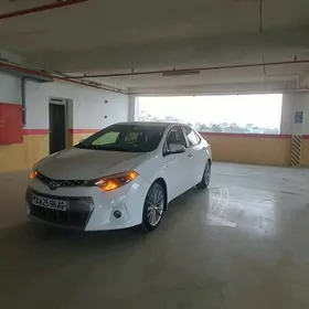 Toyota Corolla 2014