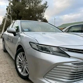 Toyota Camry 2019