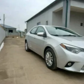 Toyota Corolla 2013