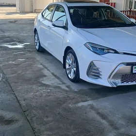 Toyota Corolla 2019