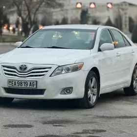 Toyota Camry 2010