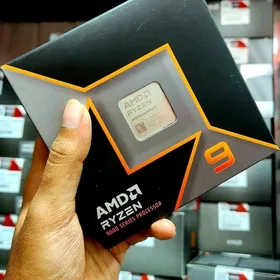 Ryzen 9 9900X+X870 Steel Lege