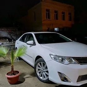 Toyota Camry 2013