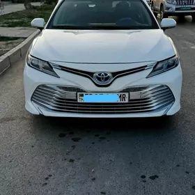 Toyota Camry 2019