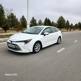 Toyota Corolla 2020