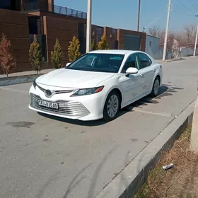 Toyota Camry 2019