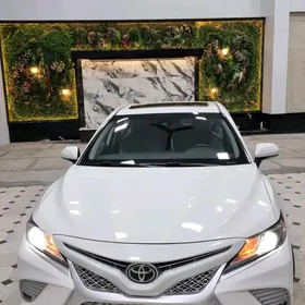 Toyota Camry 2019