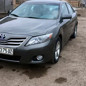 Toyota Camry 2010