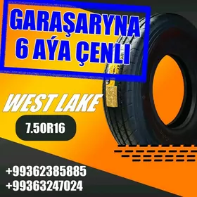 GARAŞARYNA TEKER 7.50R16