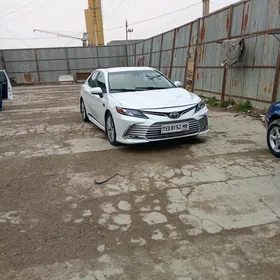 Toyota Camry 2020