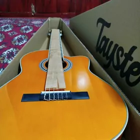 Tayste model 2 gitara гитара