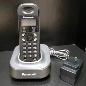 Panasonic