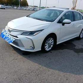 Toyota Corolla 2019