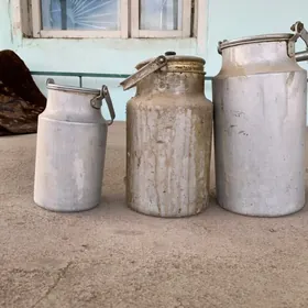 filyak