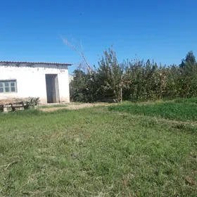 satlyk jaý