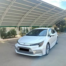 Toyota Corolla 2019